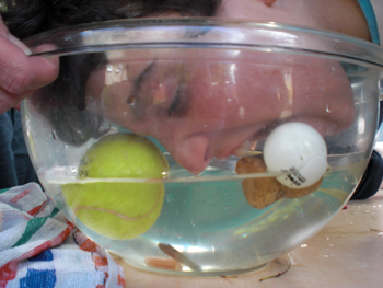 2010_schulfest_26_wa#206C94