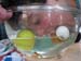 2010_schulfest_26_wa#206C94
